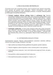 Monopolinės įmonės veikla 7 puslapis