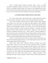 Moteriškumo vaizdavimas lietuvių literatūroje 11 puslapis