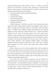 Moterų socialinė-ekonominė padėtis amžių raidoje 13 puslapis