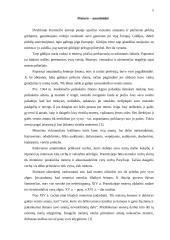 Moterų socialinė-ekonominė padėtis amžių raidoje 5 puslapis