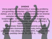 Moterų užimtumo lygis ir užimtumo centrai 2 puslapis