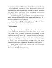 Motyvacija. Motyvacijos modeliai ir teorijos 5 puslapis