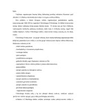 Motyvacija. Motyvacijos modeliai ir teorijos 7 puslapis