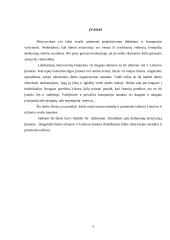 Motyvavimo metodai taikomi Lietuvos ir užsienio firmose 2 puslapis