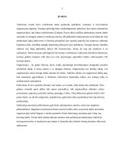Motyvavimo sistemos trūkumai organizacijoje 2 puslapis