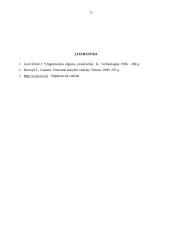 Motyvavimo sistemos trūkumai organizacijoje 11 puslapis
