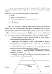 Motyvavimo teorijos ir jų įvairovė 3 puslapis