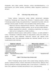 Motyvavimo teorijos ir jų įvairovė 6 puslapis