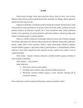 Muito mokestis 2 puslapis