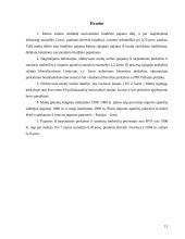 Muito mokestis 13 puslapis