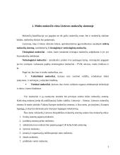 Muito mokestis 3 puslapis