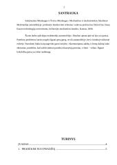 Multimedia automobilyje