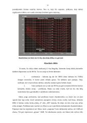 Multimedia automobilyje 10 puslapis