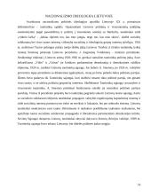 Nacionalizmo ideologijos principai 12 puslapis