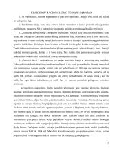 Nacionalizmo ideologijos principai 13 puslapis