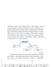 Narkomanija 11 puslapis