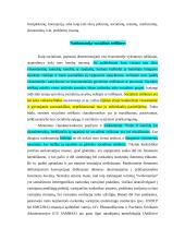 Narkomanija 6 puslapis