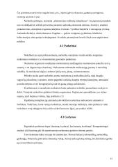 Narkotikai, narkotikų rūšys 12 puslapis