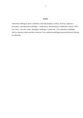 Narkotikų paplitimas tarp jaunimo 2 puslapis