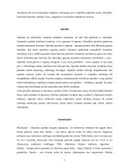 Narkotinės medžiagos ir narkomanija Lietuvoje 7 puslapis