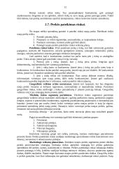 Naujų prekių kūrimas 12 puslapis