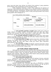 Naujų prekių kūrimas 13 puslapis