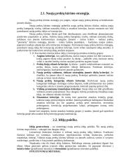 Naujų prekių kūrimas 6 puslapis