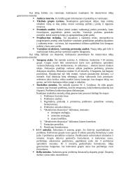 Naujų prekių kūrimas 7 puslapis