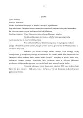 Nedarbas Lietuvoje, jo priežastys 2 puslapis