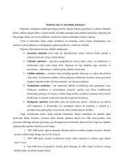 Nedarbas Lietuvoje, jo priežastys 3 puslapis