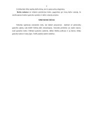 Nedarbas ir rinka 3 puslapis