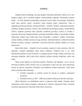 Nedarbas Panevėžio mieste 2 puslapis