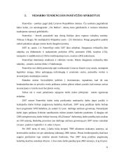 Nedarbas Panevėžio mieste 11 puslapis