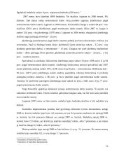 Nedarbas Panevėžio mieste 13 puslapis