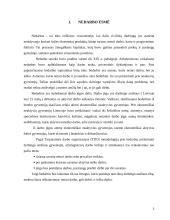 Nedarbas Panevėžio mieste 3 puslapis