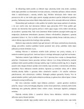 Nedarbas Panevėžio mieste 6 puslapis