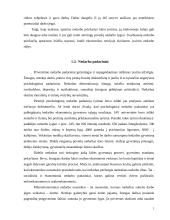 Nedarbas Panevėžio mieste 7 puslapis