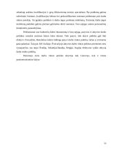 Nedarbas Panevėžio mieste 10 puslapis