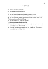 Nedarbas. Gyventojų užimtumas Lietuvoje 18 puslapis