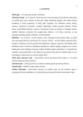 Nedarbas. Gyventojų užimtumas Lietuvoje 3 puslapis