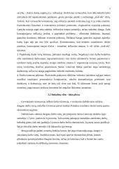 Nedarbas. Gyventojų užimtumas Lietuvoje 5 puslapis