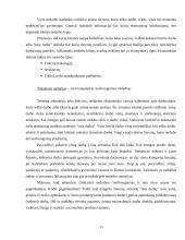 Nedarbas. Nedarbo priežastys 13 puslapis