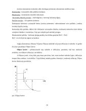 Nedarbas. Nedarbo priežastys 20 puslapis