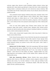 Nedarbo mažinimo priemonės 13 puslapis