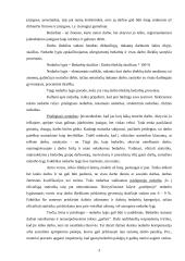 Nedarbo problema 3 puslapis