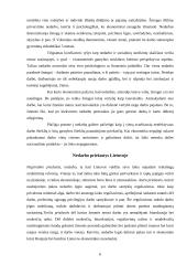 Nedarbo problema 6 puslapis