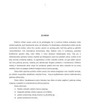 Nedemokratiniai politiniai režimai 3 puslapis