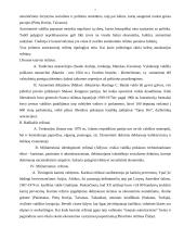 Nedemokratiniai politiniai režimai 8 puslapis