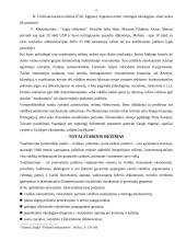 Nedemokratiniai politiniai režimai 9 puslapis