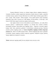 Neįgaliųjų socialinė apsauga 2 puslapis